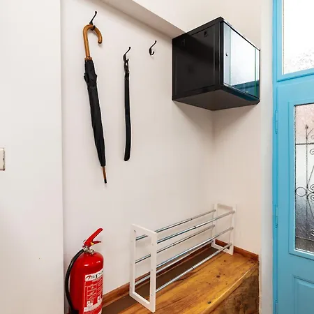 Kosmos In The Area In * Plovdiv